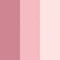 Pinks & Blush color preference palette